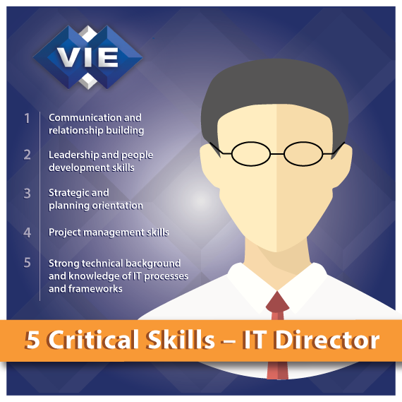 VIE IT Director Skills